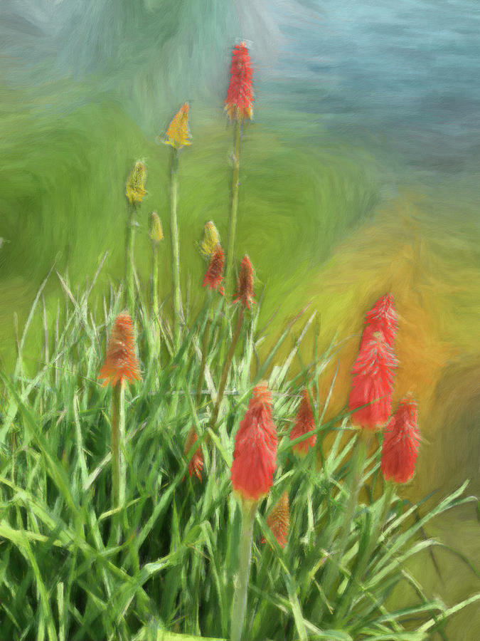 Flower Mixed Media - Red Hot Poker Plant #1 by Leslie Montgomery