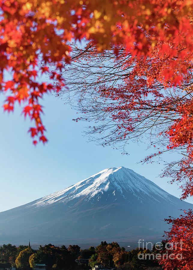 Red Maple Leaves Mount Fuji Photograph by Tassaphon Vongkittipong