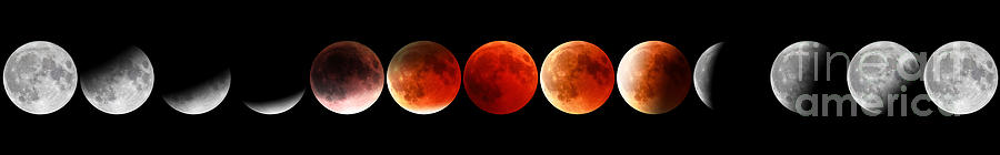 Red Moon Phases #1 Photograph by Benny Marty