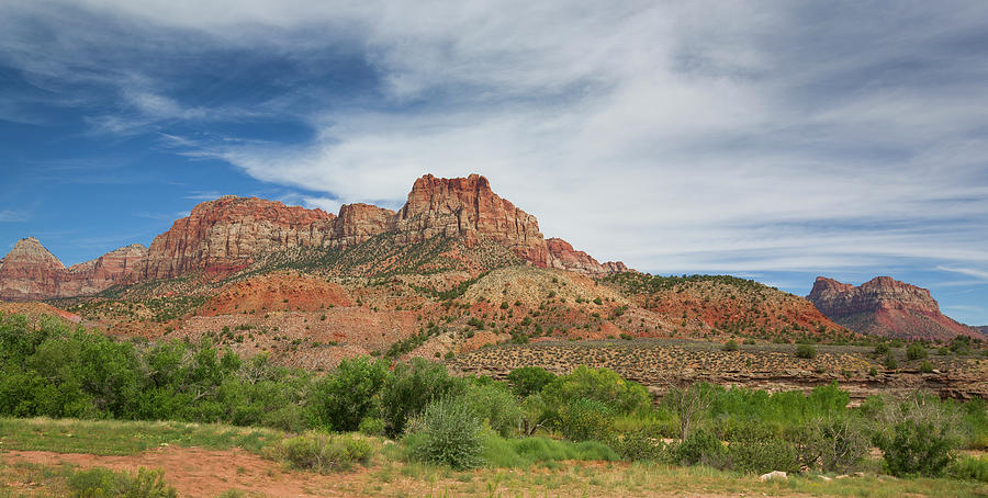 Red Mountains With Green Vegetation In Zion National Park, Usa #1 Photograph by Bastian Linder