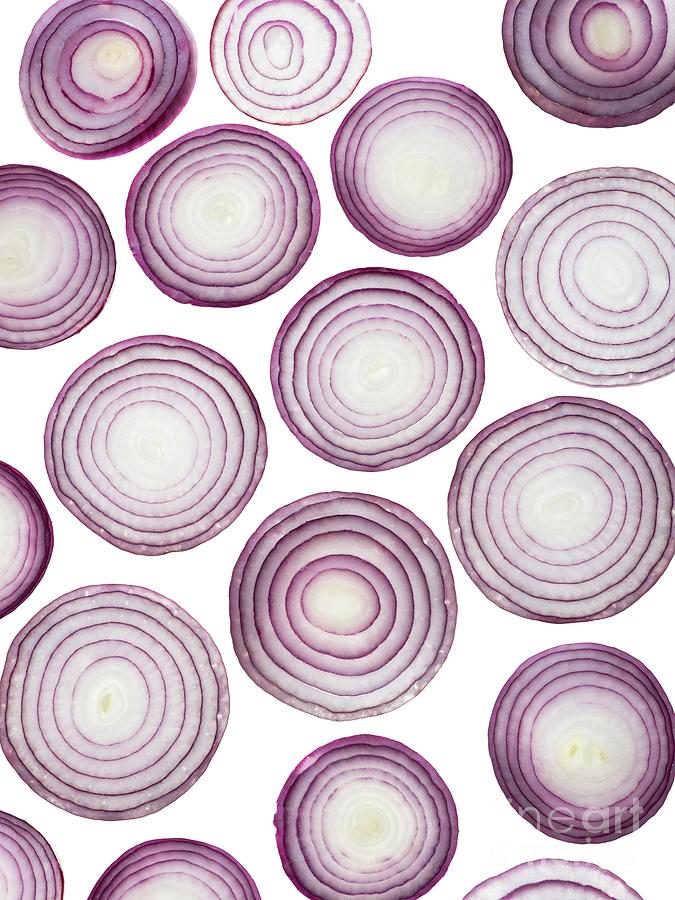 Red Onion Slices #1 Photograph by Science Photo Library