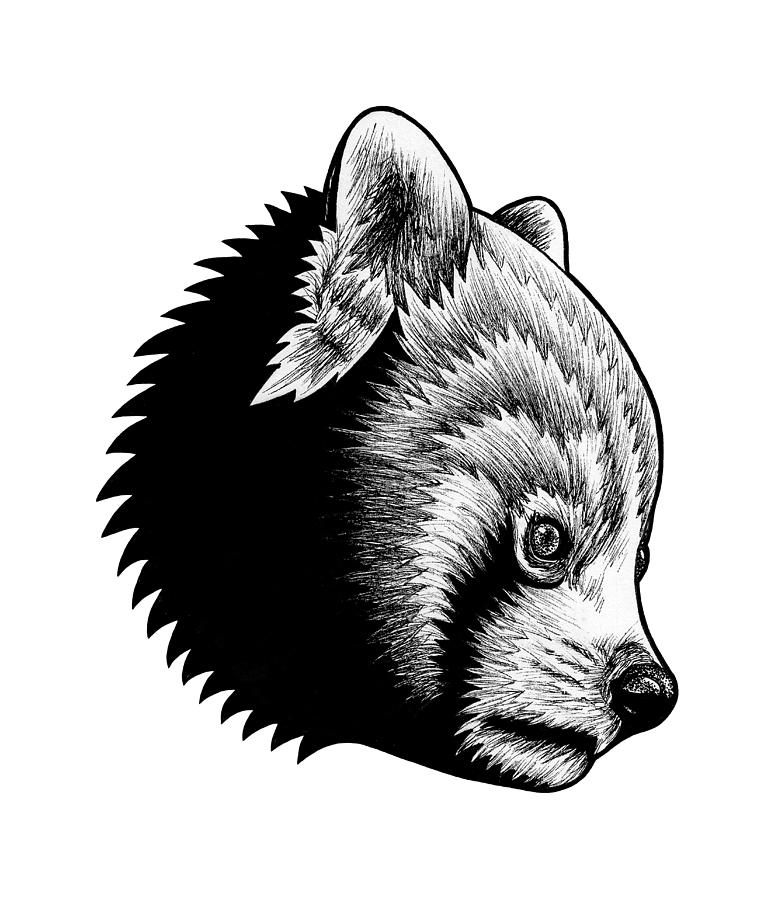 Animal Drawing - Red panda - ink illustration #2 by Loren Dowding