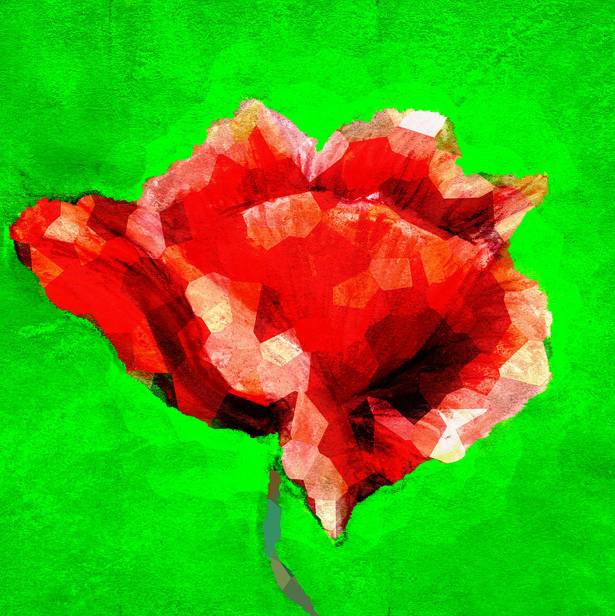 Poppy Mixed Media - Red rose flower drawing on green background #1 by Elena Sysoeva