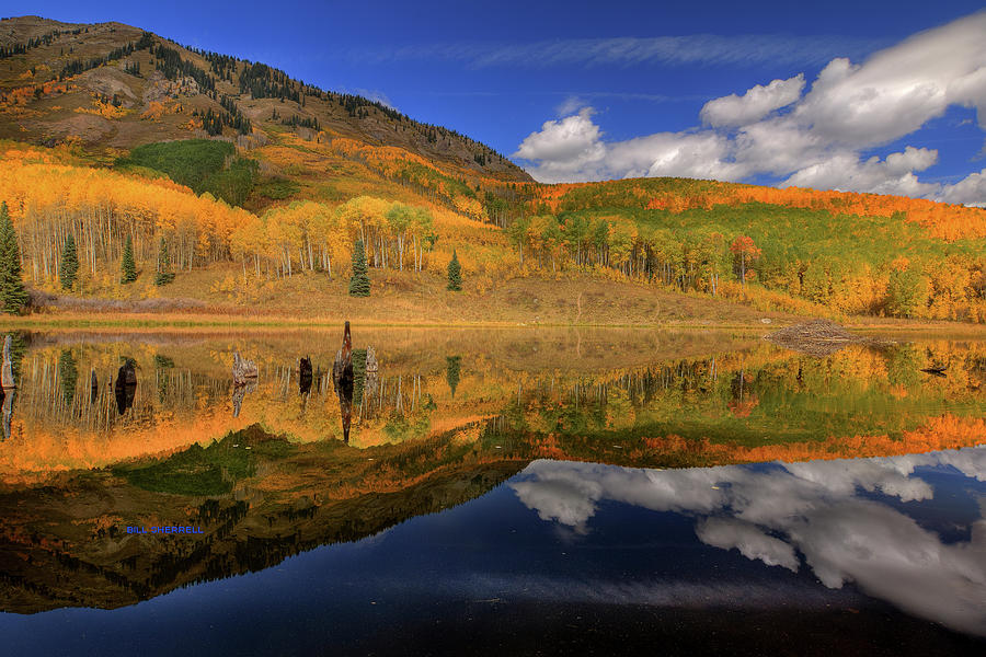 Fall Photograph - Reflecting On Autumn #1 by Bill Sherrell