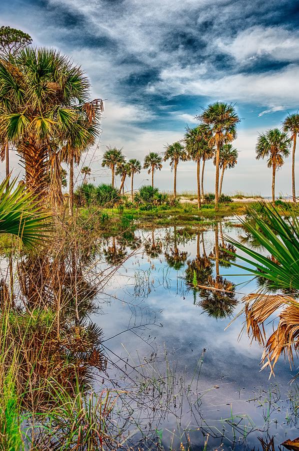 Reflections Of Palm Trees On Hunting Island South Carolina #1 Photograph by Alex Grichenko