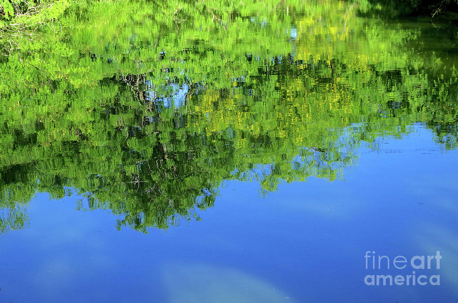 Reflections Of Spring Photograph