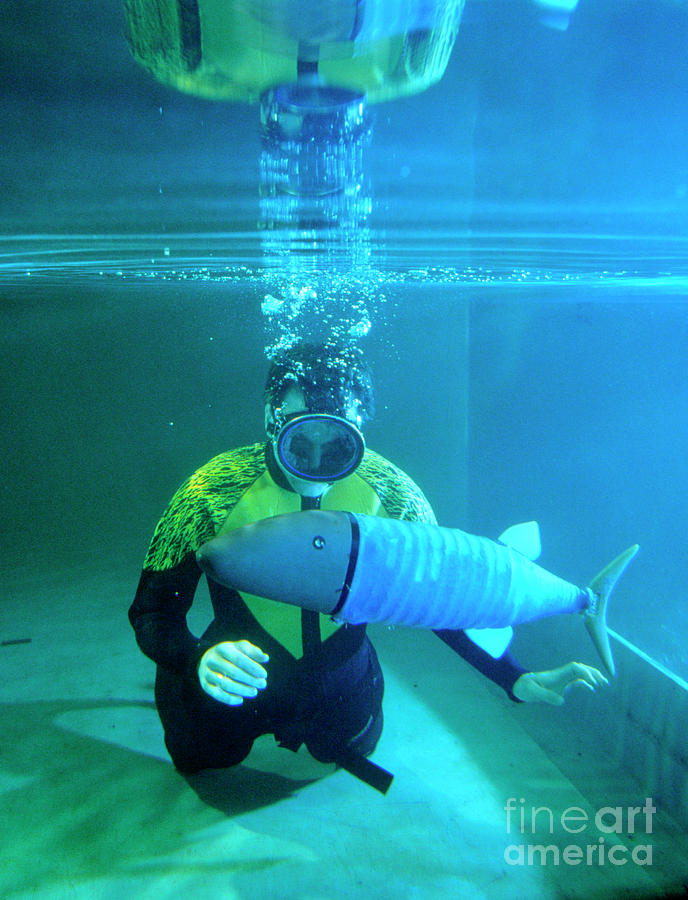 Researcher With The First Free-swimming Robot Fish #1 Photograph by Sam Ogden/science Photo Library