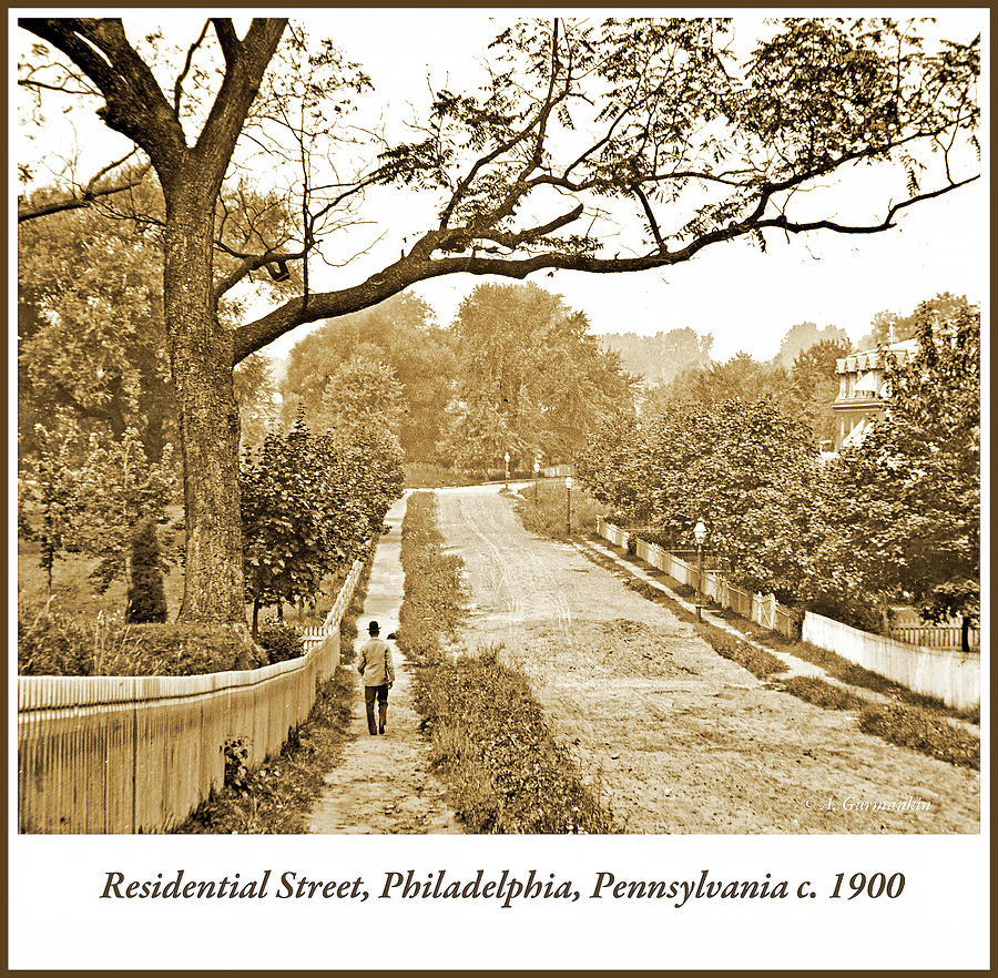 Residential Neighborhood, Philadelphia, c. 1900 #1 Photograph by A Macarthur Gurmankin