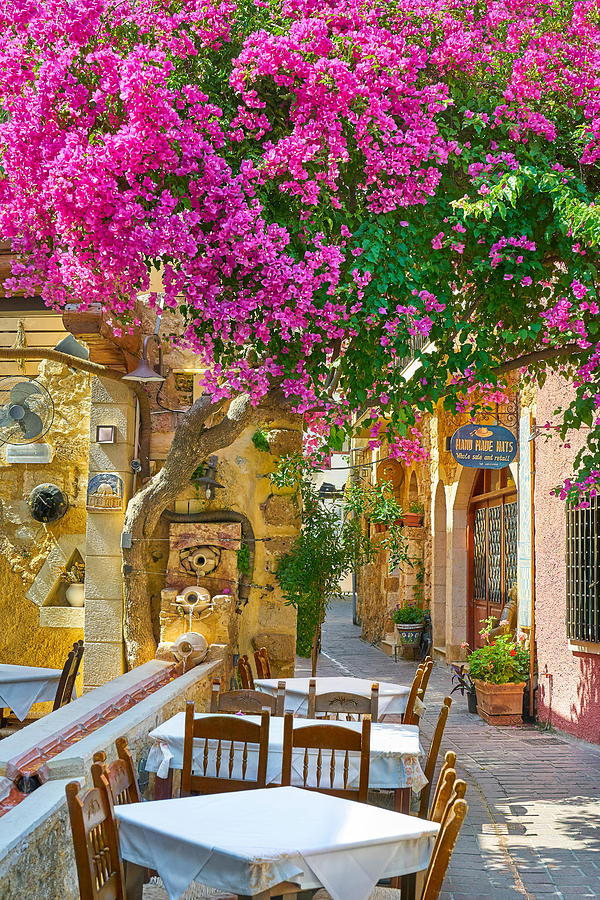 Greek Photograph - Restaurant At Chania Old Town, Blooming #1 by Jan Wlodarczyk