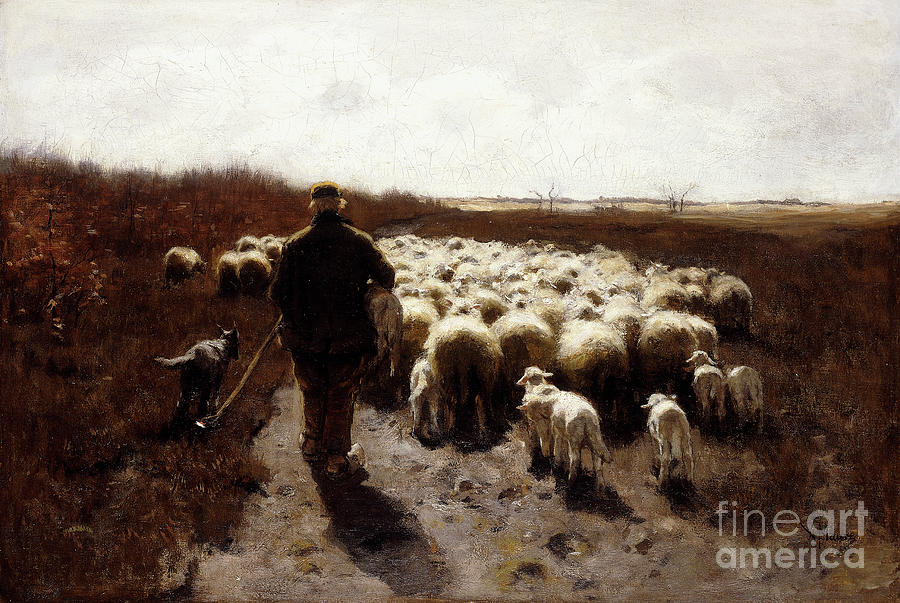 Return Of The Flock Painting by Anton Mauve