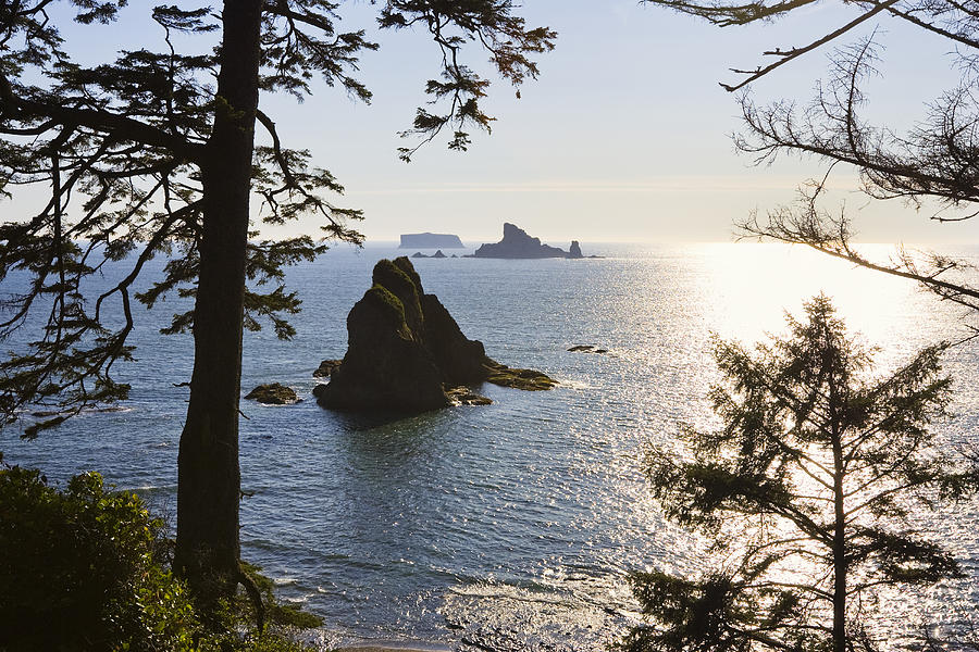 Rialto Beach, West Coast, Olympic Peninsula, Olympic Nationalpark 