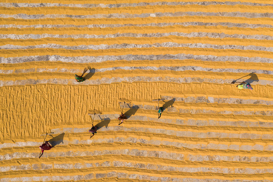 Pattern Photograph - Rice Drying #1 by Azim Khan Ronnie