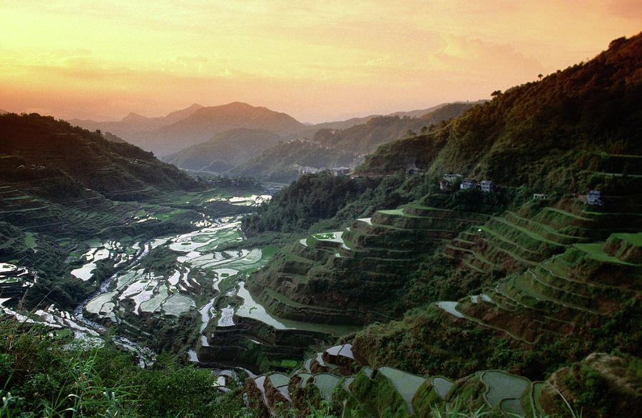 Rice Terraces, Ifugao Province, Luzon Photograph by John Elk Iii