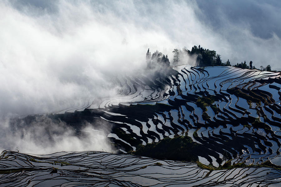 Rice Terraces, Yunnan, China #1 Digital Art by Andrea Pozzi