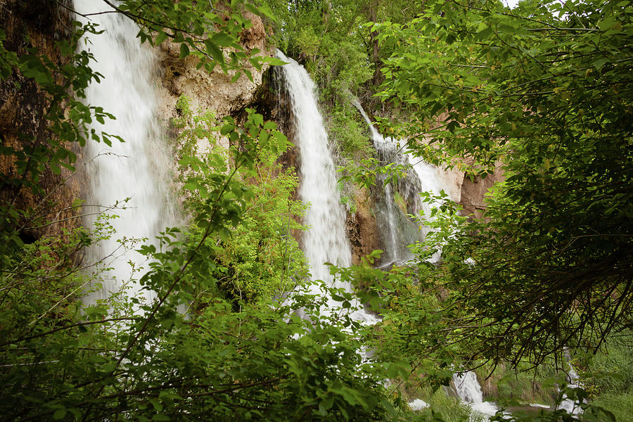 Rifle Falls by Jeanette Fellows Rifle Falls by Jeanette Fellows