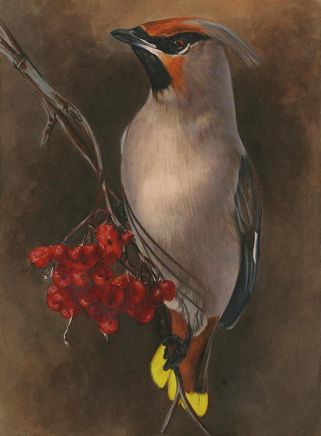 Bird Painting - Righteous #1 by Barbara Keith