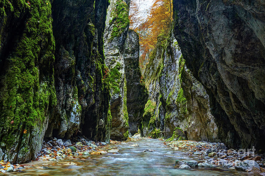 River in limestone canyon #1 Photograph by Ragnar Lothbrok