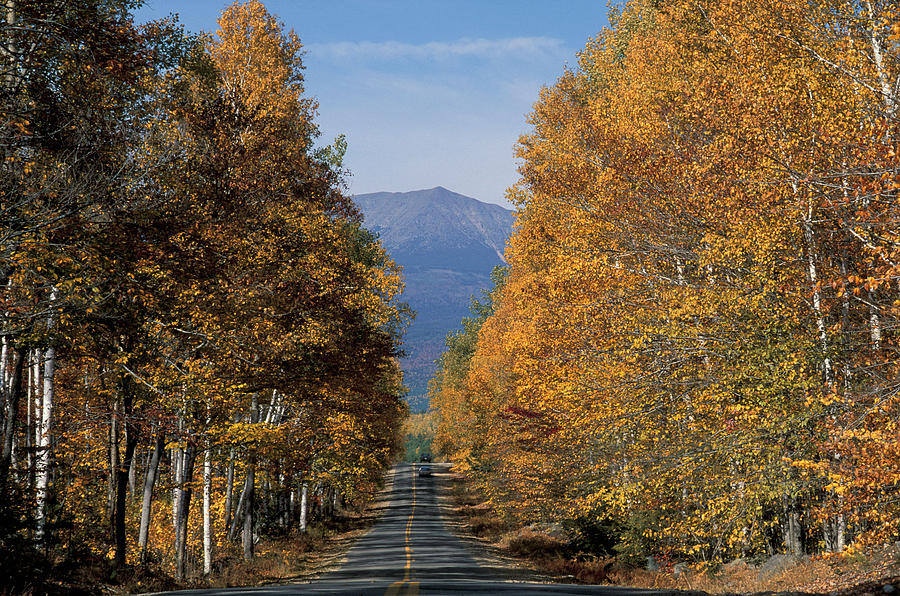 Road & Trees In Autumn #1 Digital Art by Heeb Photos