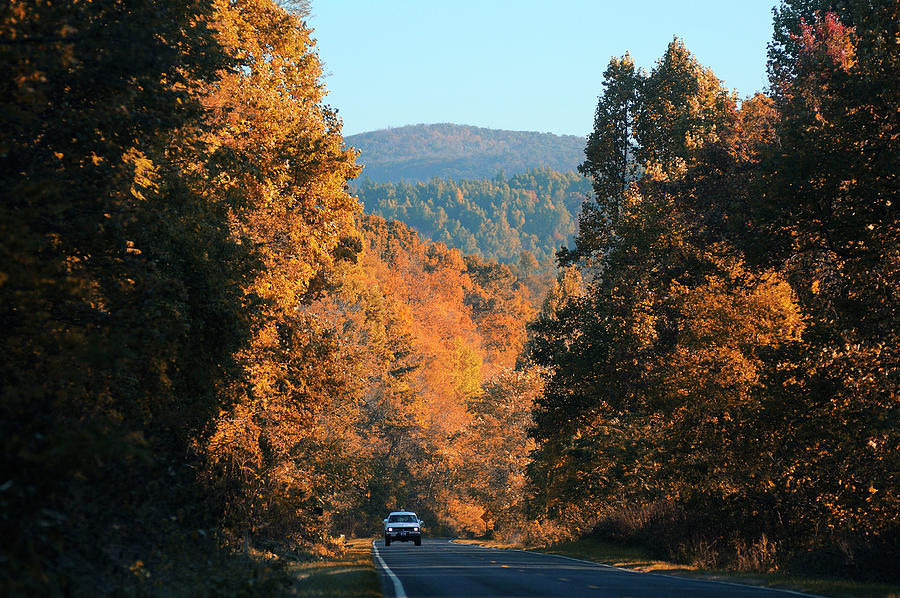 Road At Shenandoah Natl Park, Va #1 Digital Art by Heeb Photos