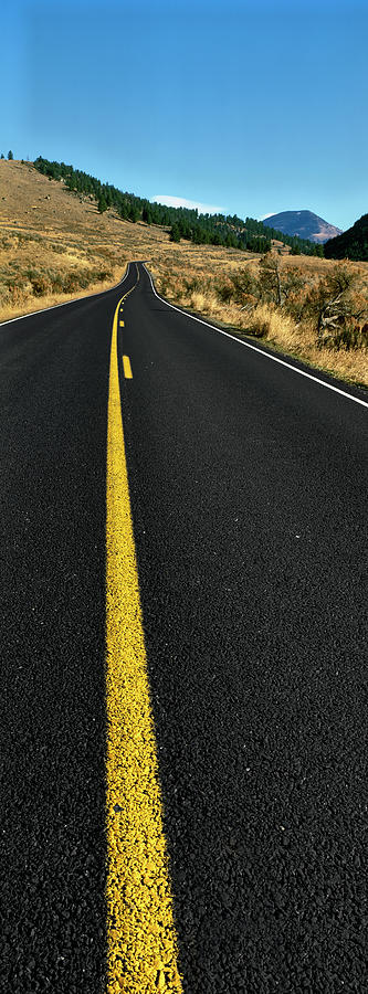 Vertical Photograph - Road Passing Through A Desert by Panoramic Images Vertical Photograph - Road Passing Through A Desert by Panoramic Images