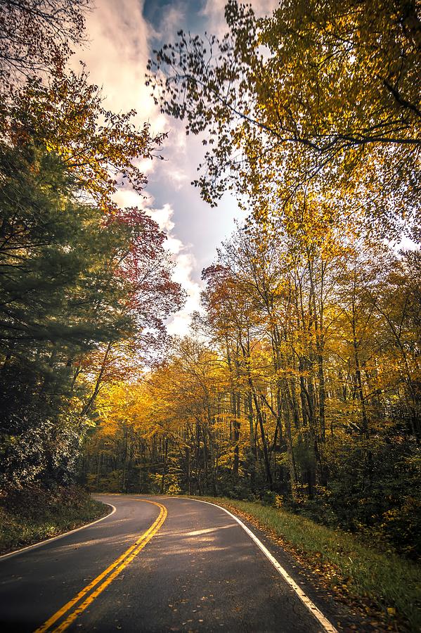 Roads Surrounded By Autumn Leaves Season In Damascus Virginia #1 Photograph by Alex Grichenko