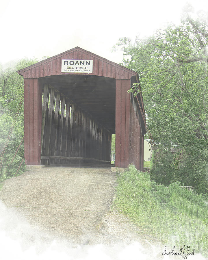 Roann Bridge Digital Art