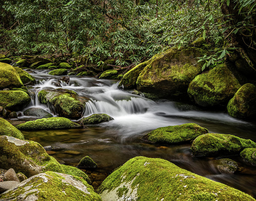 Roaring Fork #1 Photograph by William Christiansen