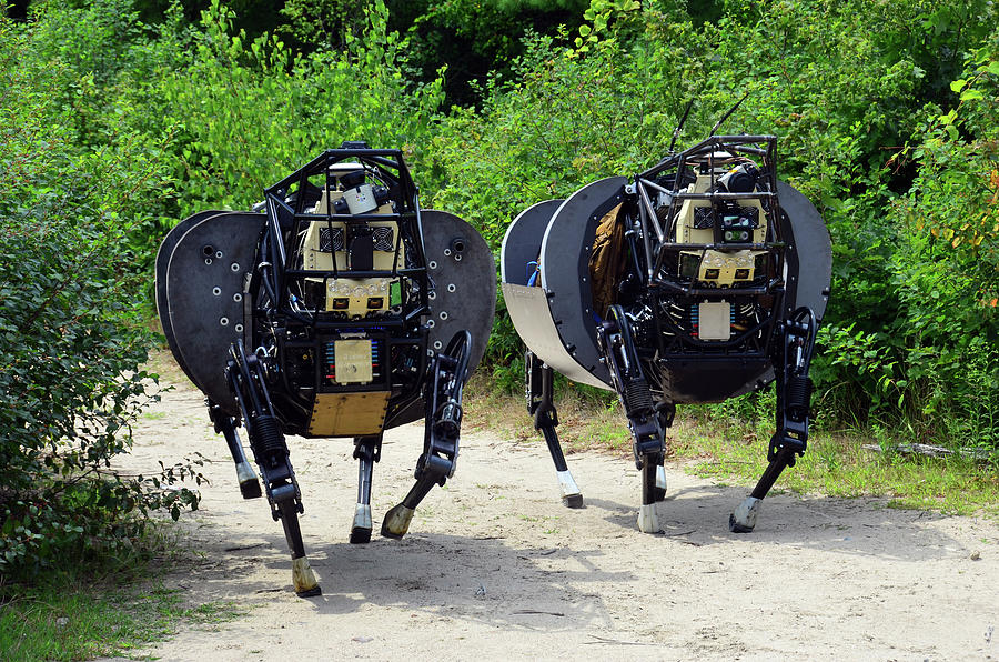 Robot, Legged Squad Support System Ls3 #1 Photograph by Science Source
