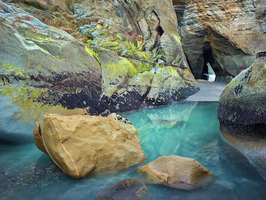 Rocks With Colorful Moss, Three Sisters, Taranaki, North Island, New 