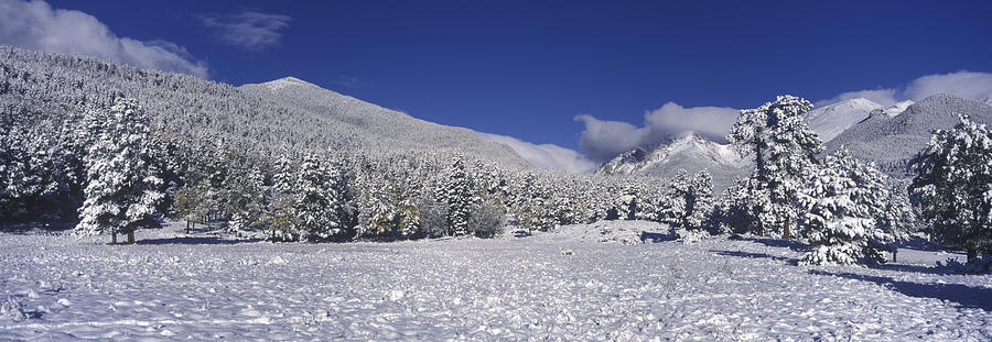 Rocky Mountain National Park #1 Photograph by David Hosking