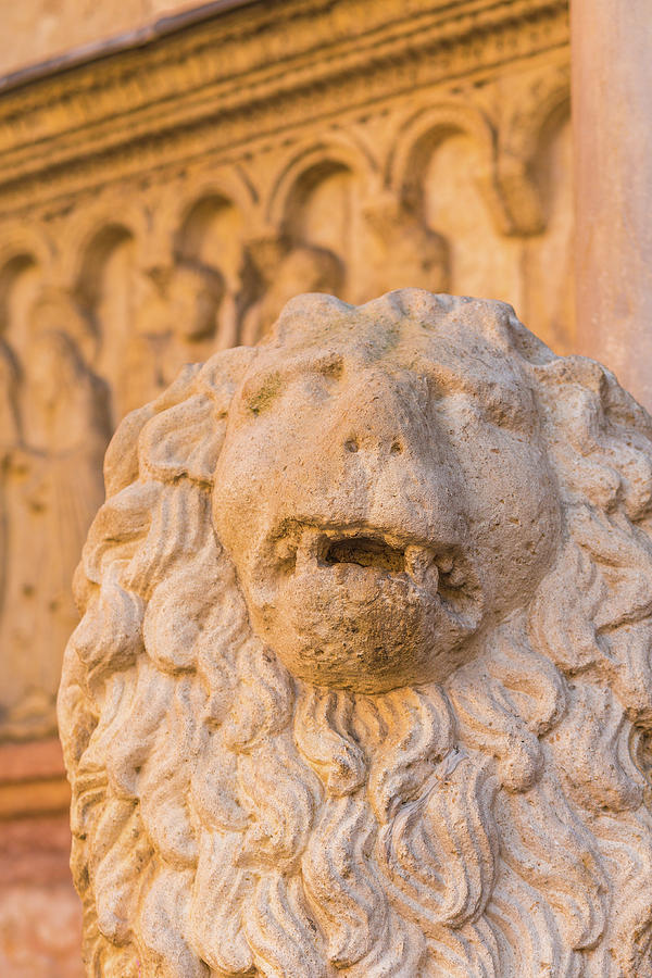 Romanesque Lion statue  #1 Photograph by Vivida Photo PC