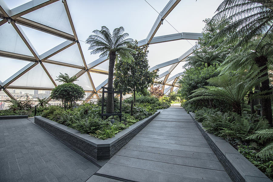 Architecture Photograph - Roof Gardens #1 by Martin Newman