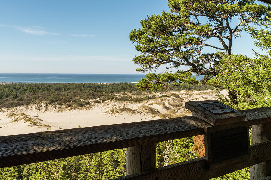 Roofed Gazebo In A High Point Of View Over The Dunes Of Oregon Photograph