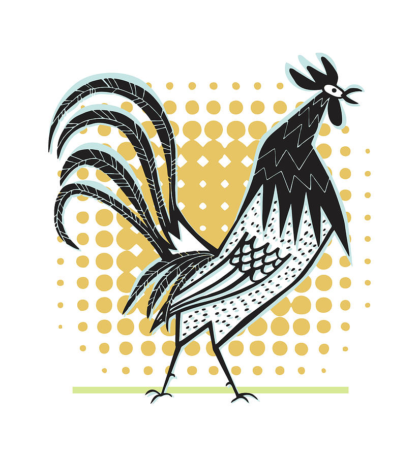 Chicken Drawing - Rooster #1 by CSA Images