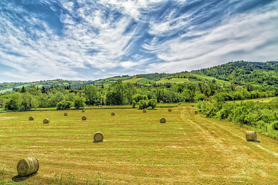 round hay bales in the Italian countryside #1 Photograph by Vivida Photo PC