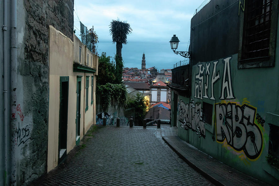 Rua da Madeira #1 Photograph by Steven Richman