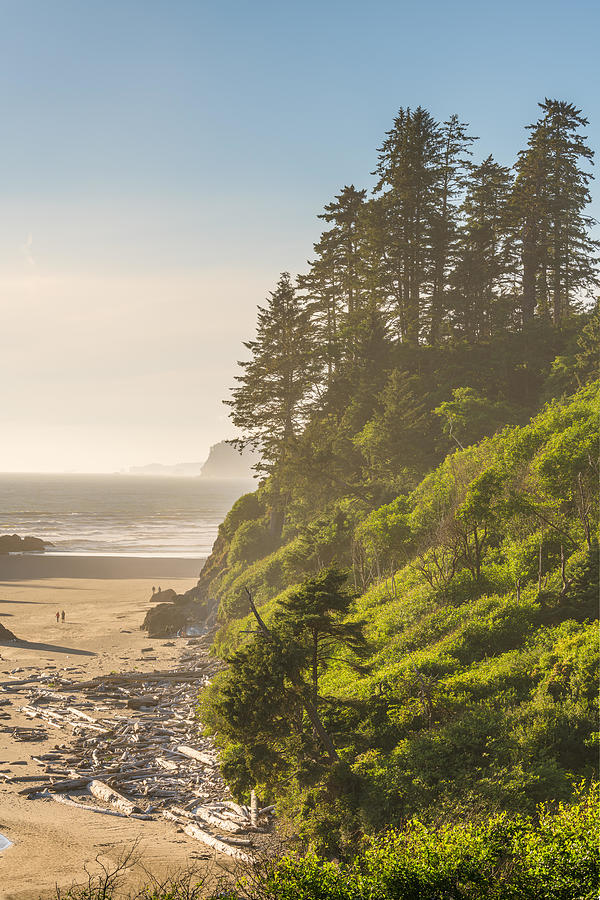 Olympic National Park Photograph - Ruby Beach In Olympic National Park #1 by Sean Pavone