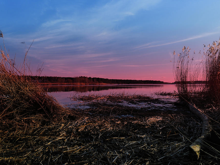 Ruby Sunset And River Jurmala  Photograph by Aleksandrs Drozdovs