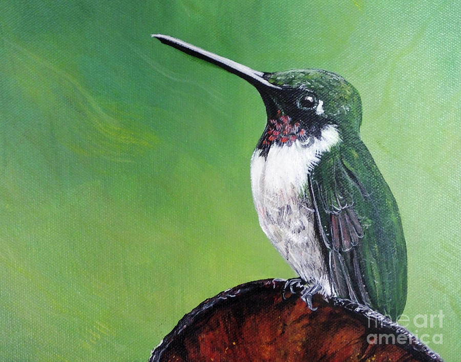 Ruby Throated Hummingbird #1 Painting by Lizi Beard-Ward