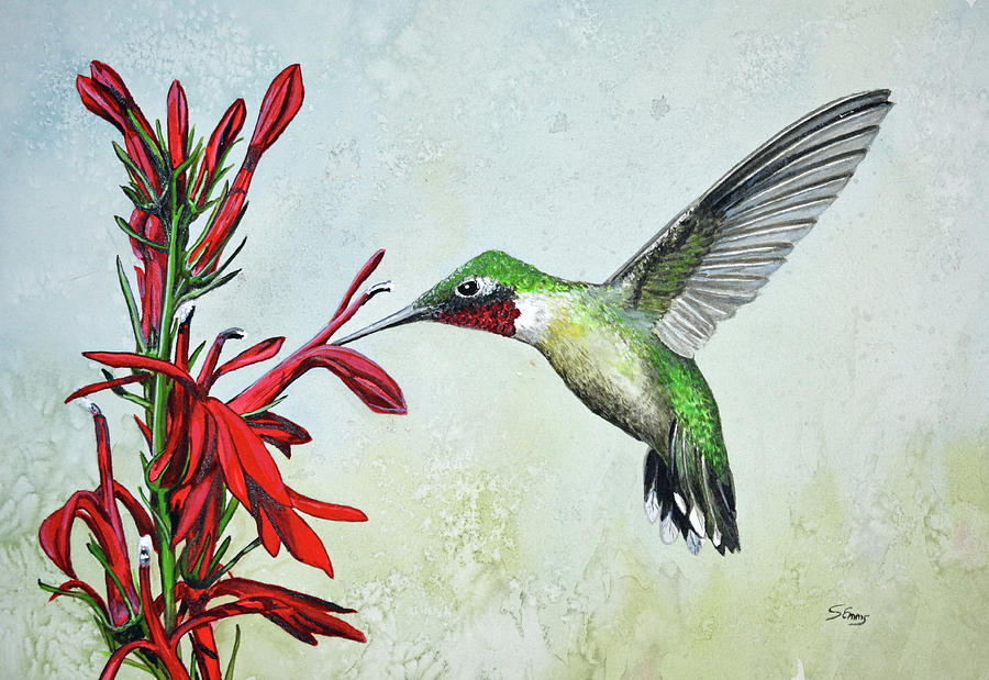 Ruby-throated Hummingbird Painting by Stephen Emms