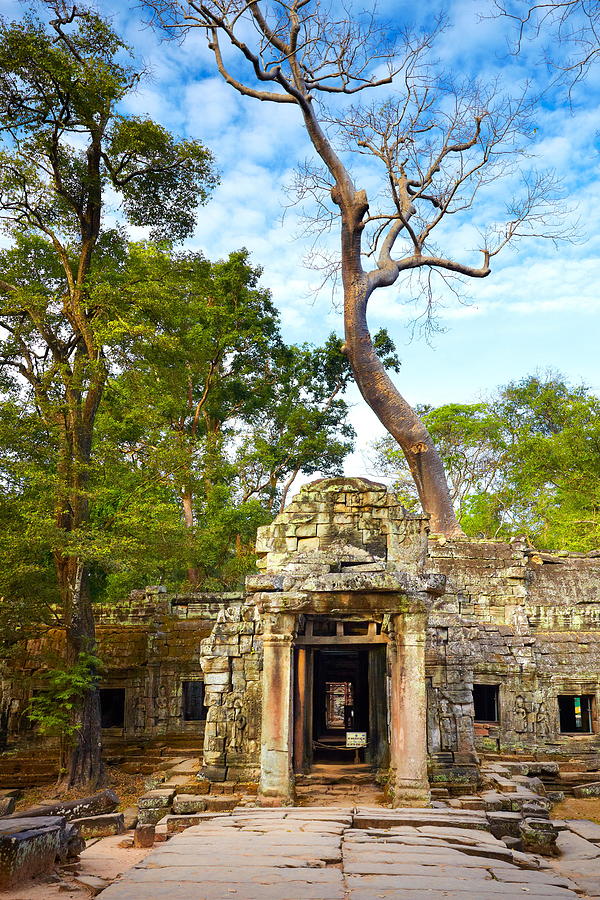 Scenic Photograph - Ruins Of Ta Prohm Temple, Angkor #1 by Jan Wlodarczyk