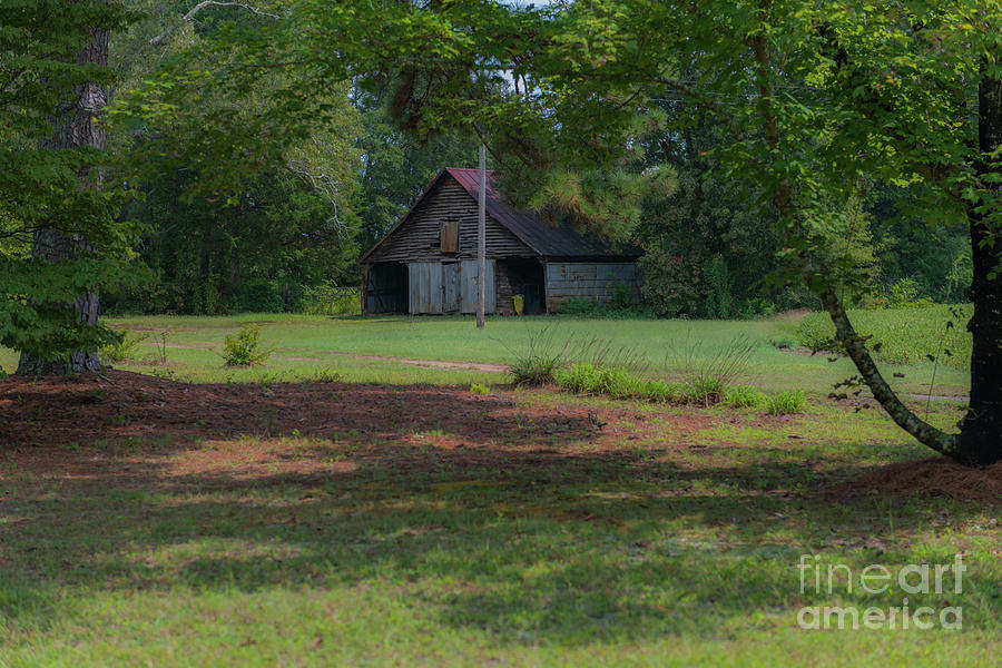 Rural South Carolina Photograph