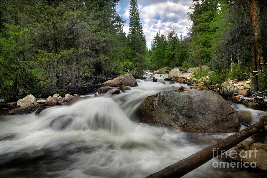 Rushing Colorado Mountain Stream #1 Photograph by Ronda Kimbrow