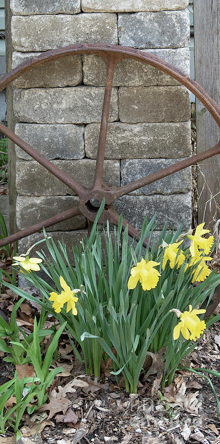 Rustic Garden Spot Wide Photograph by Ann Horn