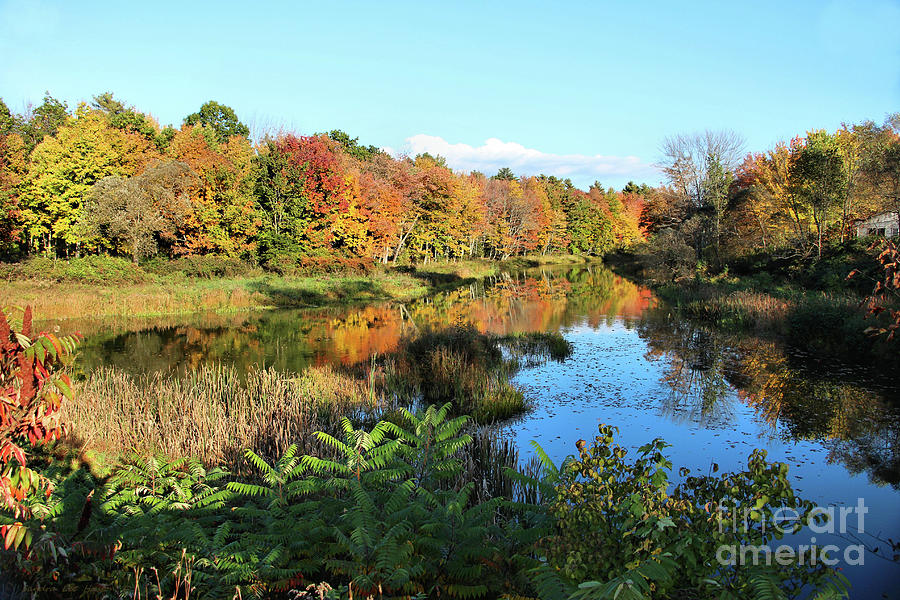 Sabattus River In Fall #2 Photograph by Sandra Huston