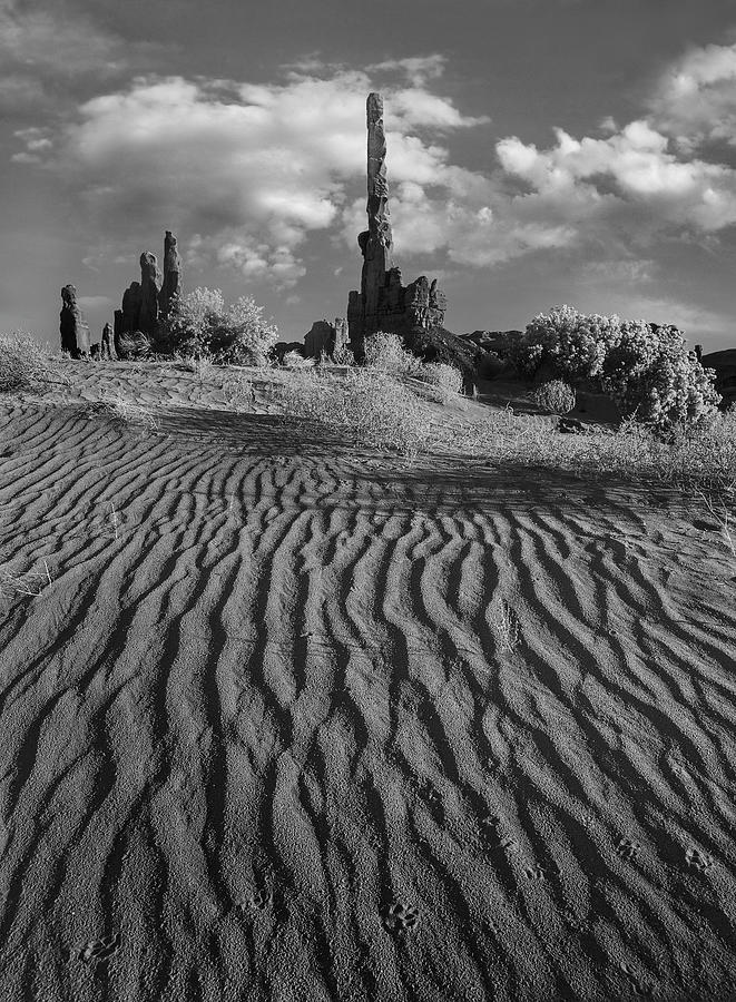 Sacred Formations, Monument Valley #1 Photograph by Tim Fitzharris