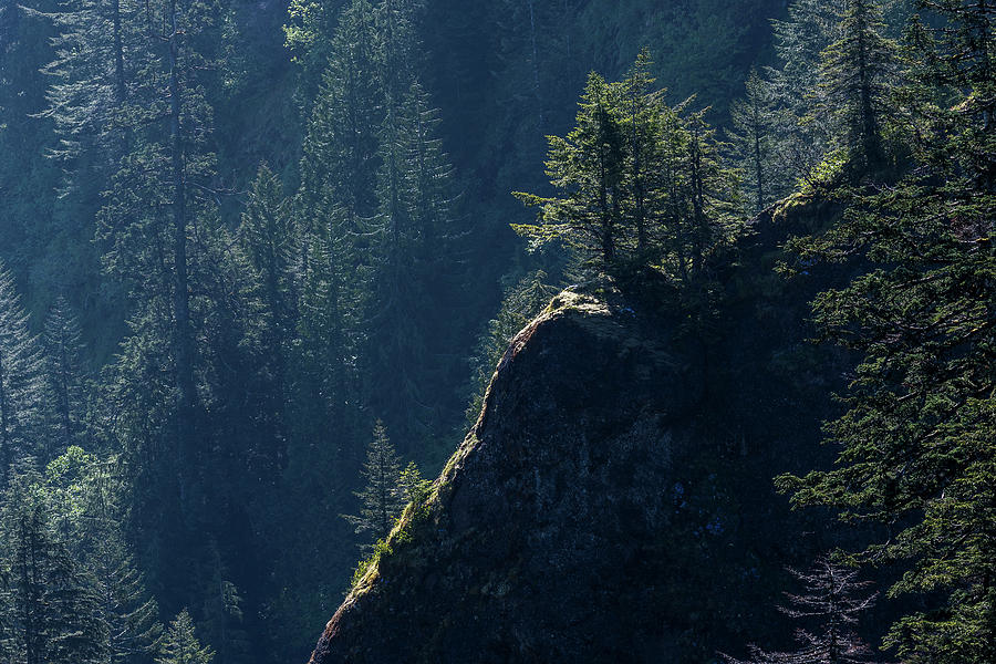 Saddle Mountain Cliffs #1 Photograph by Robert Potts