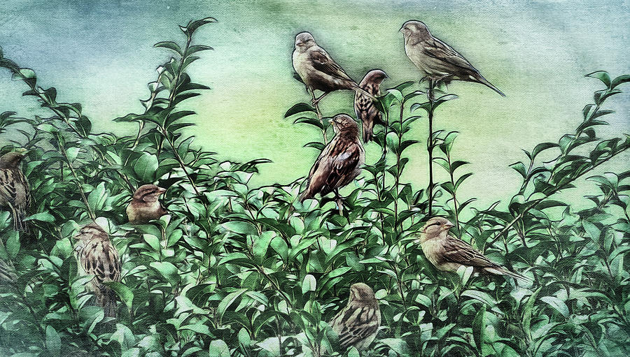 Bird Mixed Media - Safety In Numbers #1 by Leslie Montgomery