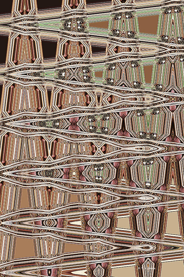 Saguaro Cactus Ribs Abstract #1 Digital Art by Tom Janca