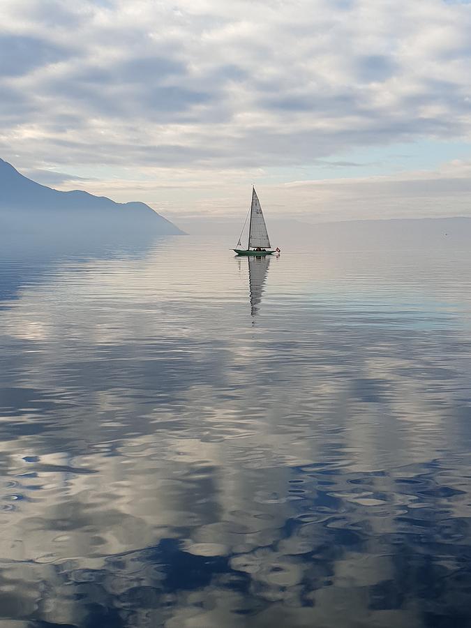 Sailing  Photograph by Andrea Whitaker